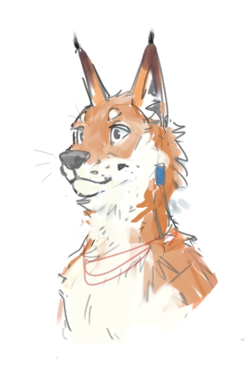 soft5b's tweet image. 🦊✨