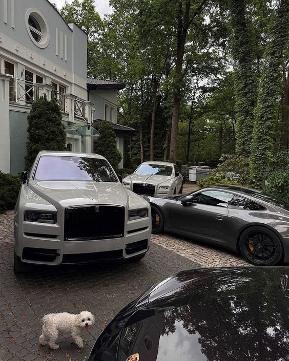 Bands💰 tweet media