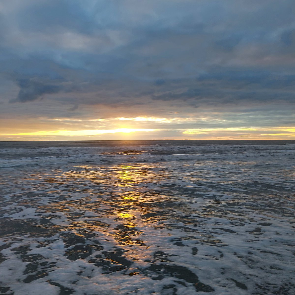 Maria Lea tweet media