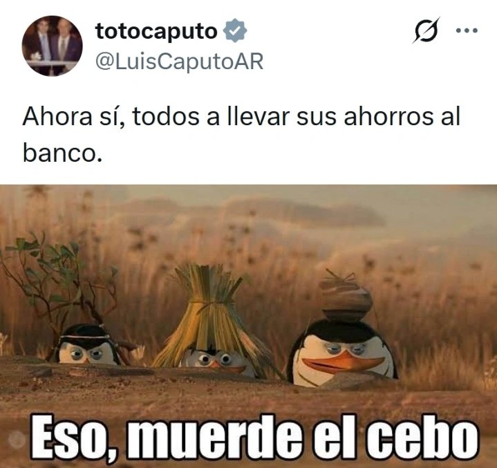 mauro (@maurofdz) on Twitter photo 