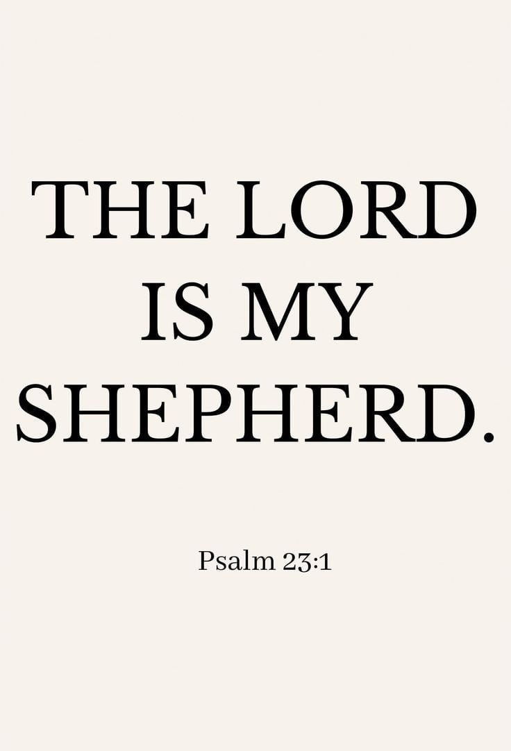 Amanda🌹🌎💞 (@amandant0) on Twitter photo 