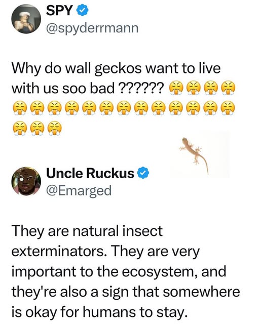 yabaleftonline's tweet photo. Did you know this? https://t.co/Lynkbk3cSk