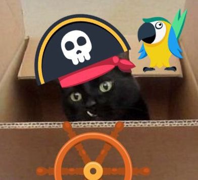 Hi all, please share...my baby Otis Fuzz left us 2 weeks ago. He was diagnosed with cancer in Oct. &amp; had emerg surgery &amp; part of his intestines removed.  We knew his time was limited &amp; were happy he made it through Xmas.😭 <a href="/cat01cat01cat01/">Angel Kohori</a> <a href="/LordGraydon/">Ms. Savoy Mr. Sanderson🌈@LordGraydon</a> <a href="/3coolkatz/">KAL #RIP Marie🌈🙌🏼🌟</a> <a href="/crosseyedollie/">Pablo and Nori 🤍 RIP Ollie 💫 💔</a>