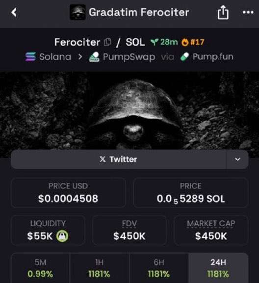 Memecoin Guru tweet media