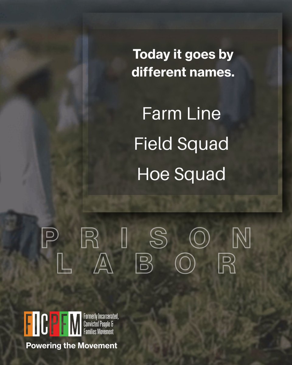 Formerly Incarcerated, Convicted People & Families tweet media