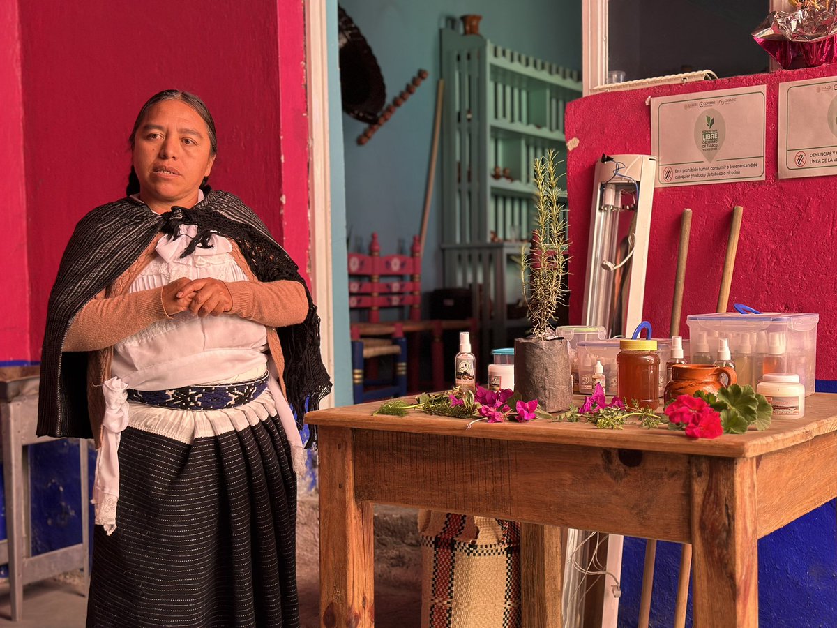 Hoy, en las instalaciones del CEDIPIEM, la Vocal Indígena Otomí, Magdalena García, realizó el primer Taller de Medicina Tradicional, a través del cual reafirmamos que la sabiduría ancestral es también una forma de ejercer el poder de servir para nuestras comunidades. ✨