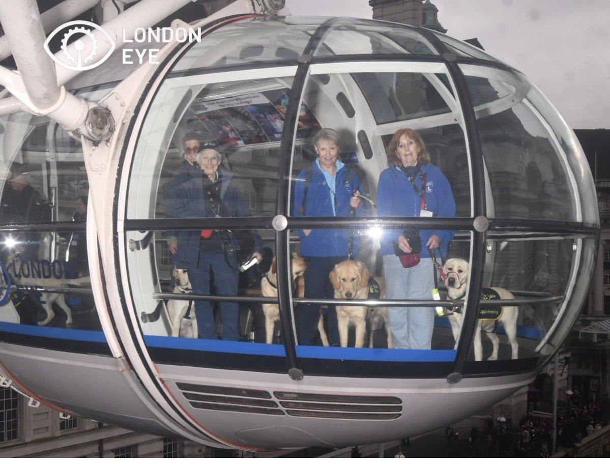 YazzyDr's tweet image. My group visit on the London Eye with trainee guide dogs