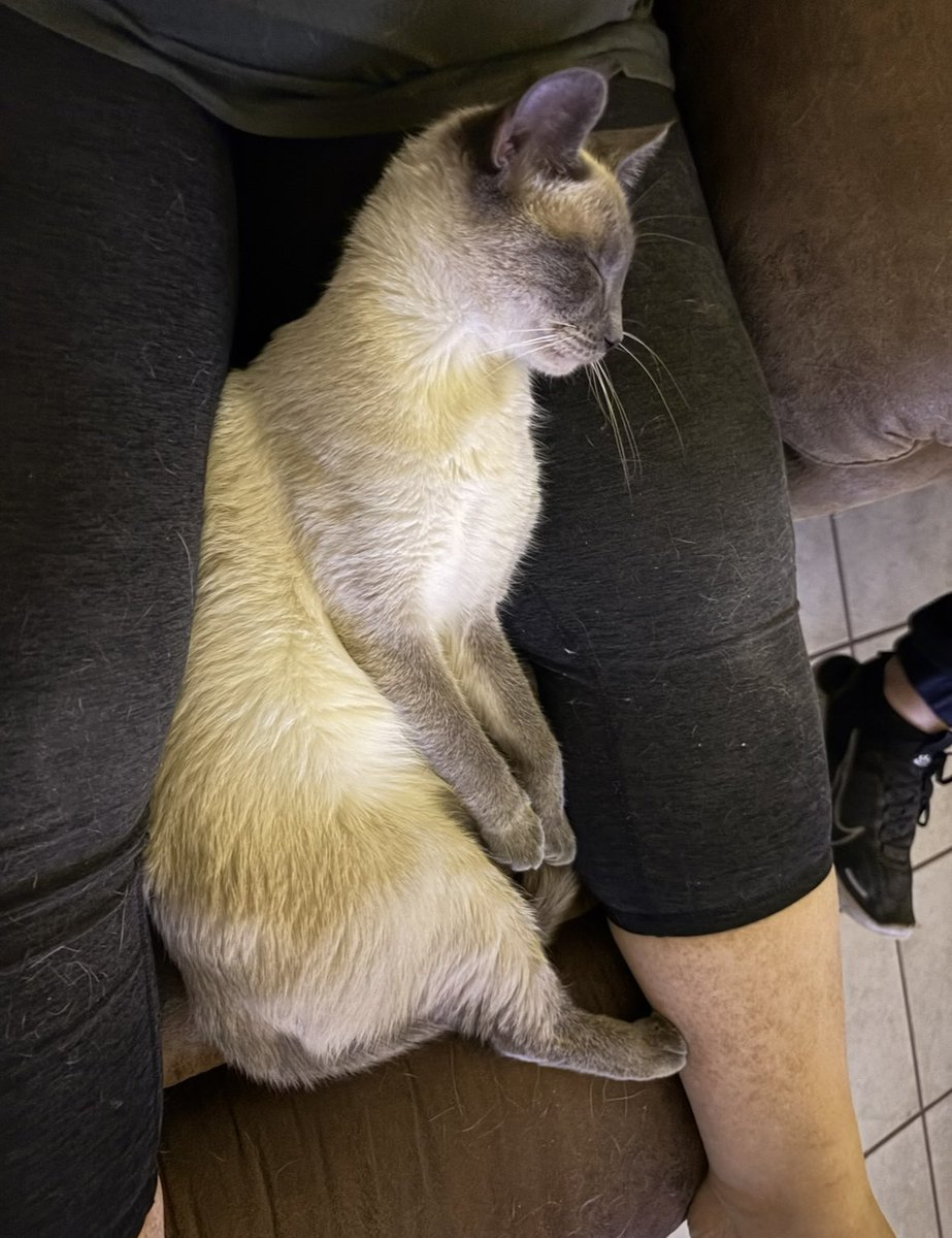 b r i t t 🩷 tweet media