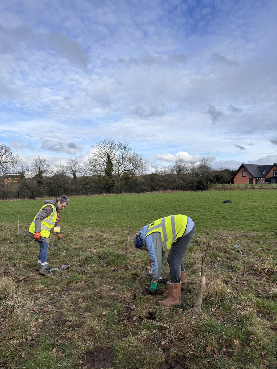 Springfield Primary tweet media