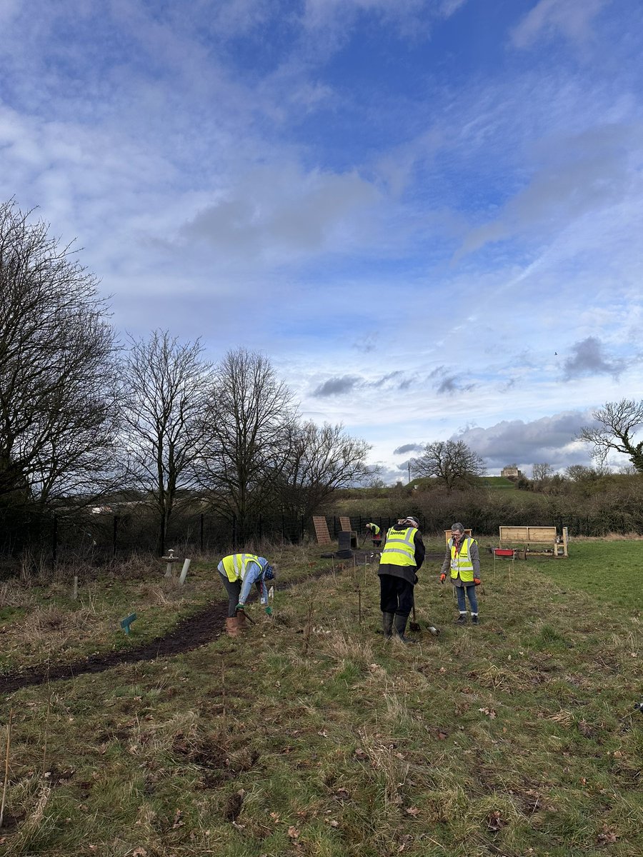 Springfield Primary tweet media