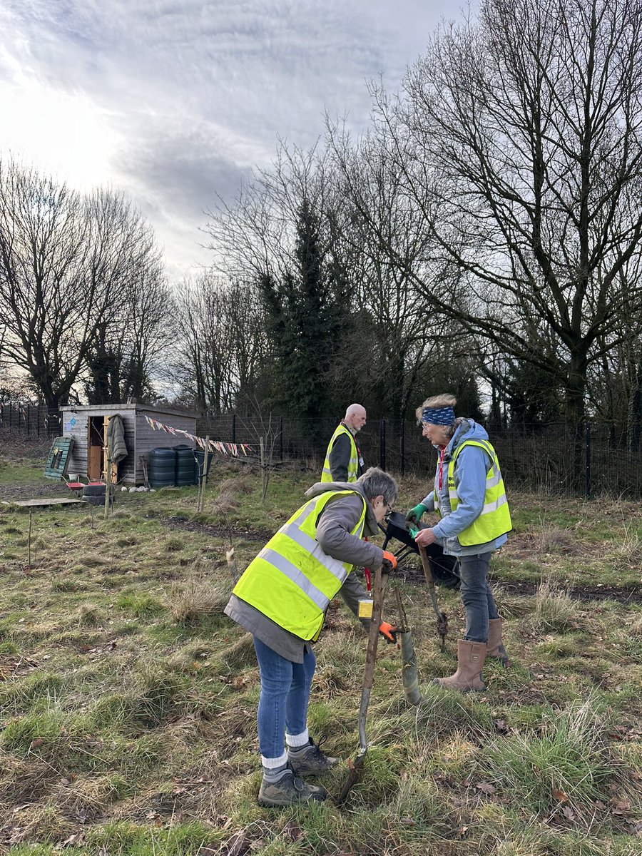 Springfield Primary tweet media