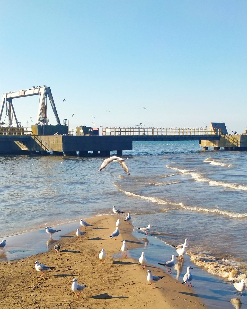 Allah ol der ve oluverir.