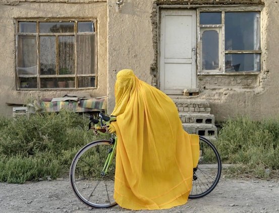 esikplatformu tweet media