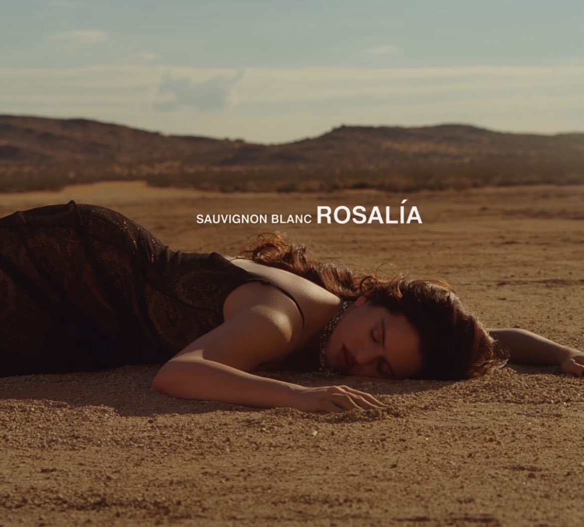 franclovah's tweet image. 11/2 mv de Sauvignon Blanc de ROSALÍA.

🥂🚙🏜️