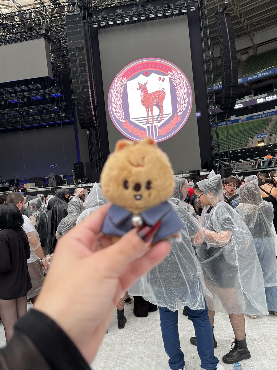 Levei o Quokka pra assistir o show do My Chemical Romance .