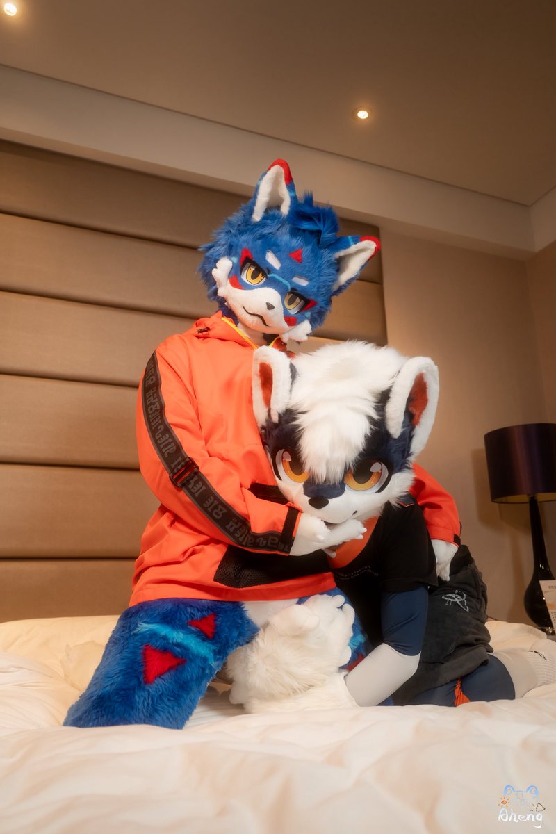 🧢旅客君LookUplus tweet media