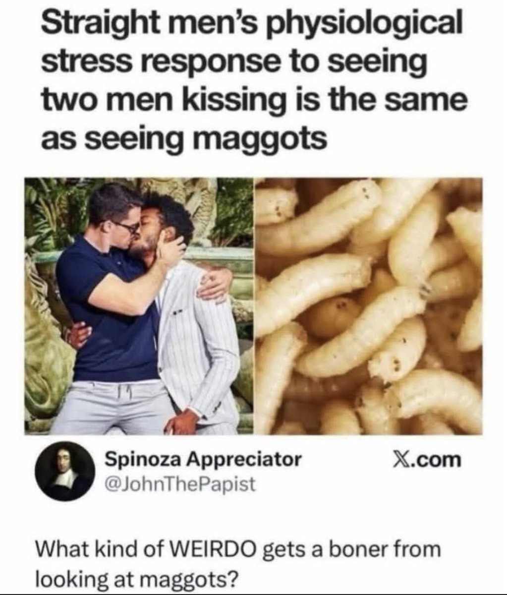 SeifkoFun tweet media