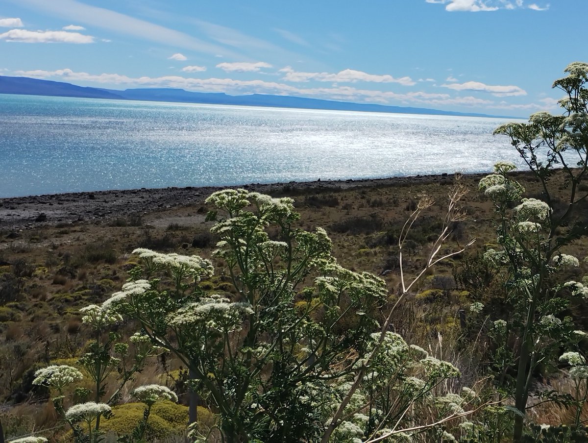 Lago Argentino, El Calafate, Santa Cruz Patagonia Andina Argentina. "Toda la belleza que hay es una forma, serena y duradera de amor y anhelo, con un espíritu aventurero y libre, es tiempo de Vivir" <a href="/JoseMariAzpiazu/">Jose Mari Azpiazu</a> <a href="/HombreMontana/">EL🐑HOMBRE #MONTAÑA</a> <a href="/turisargentina/">Red Turismo Argentina</a> 📷DPB #ApotecaDelSur