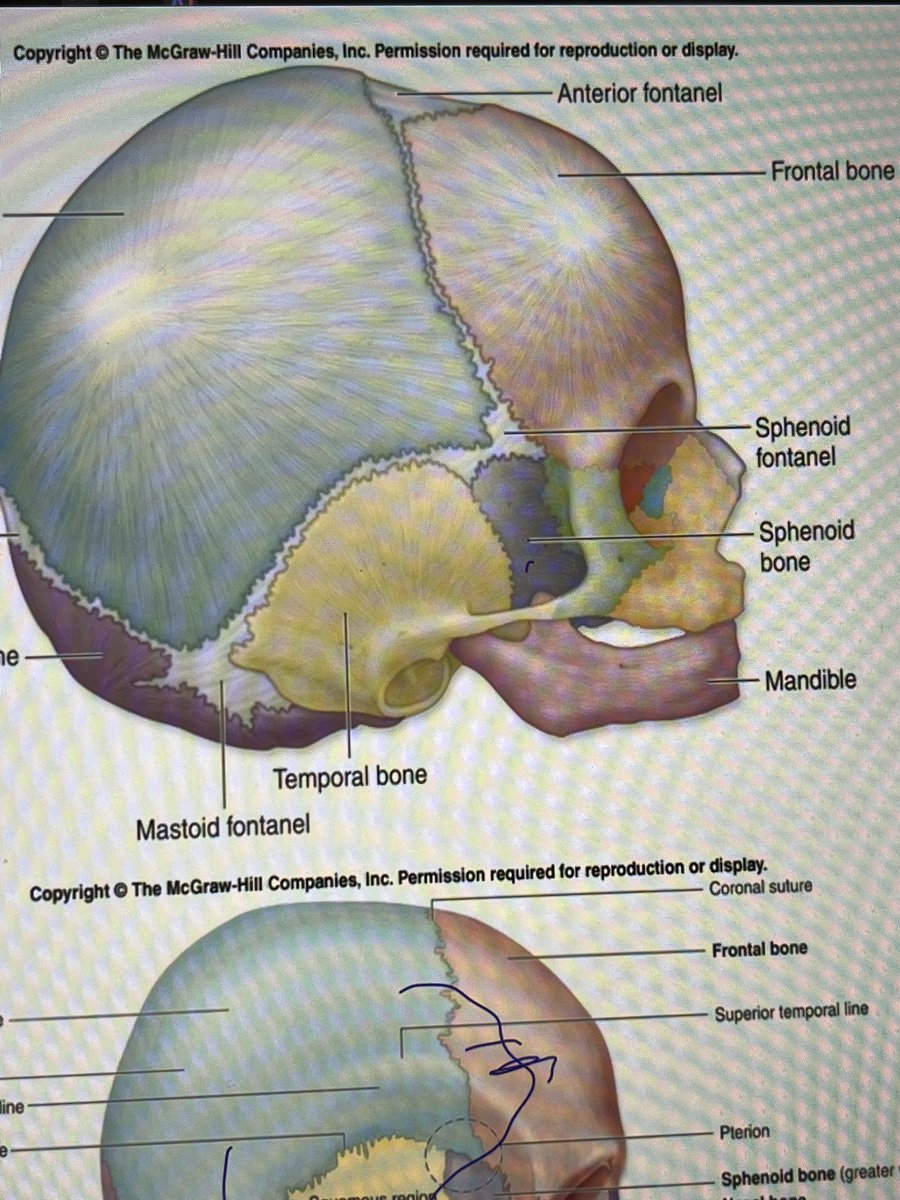 رسيل tweet media