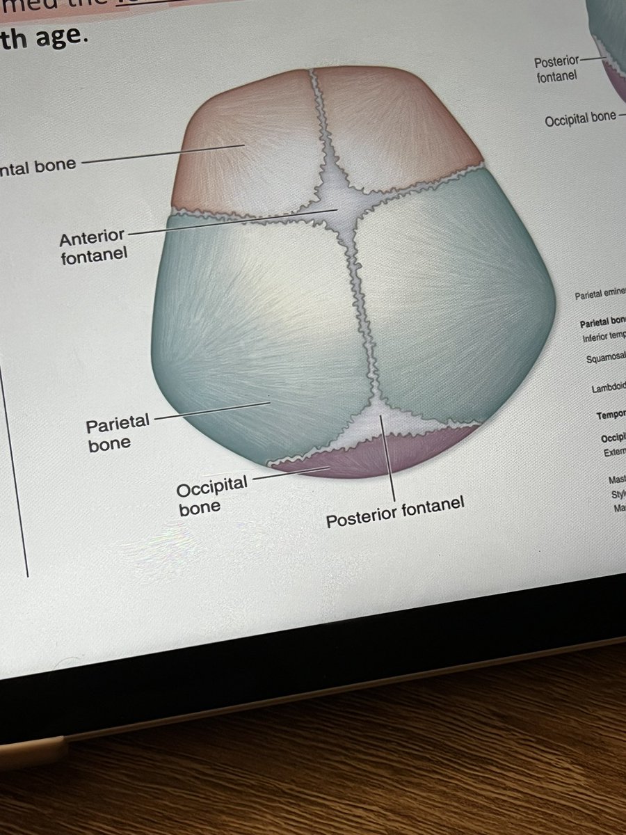 رسيل tweet media