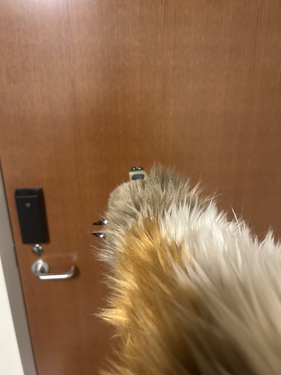 Beastserifstar's tweet image. We got paws now 🐾 :3