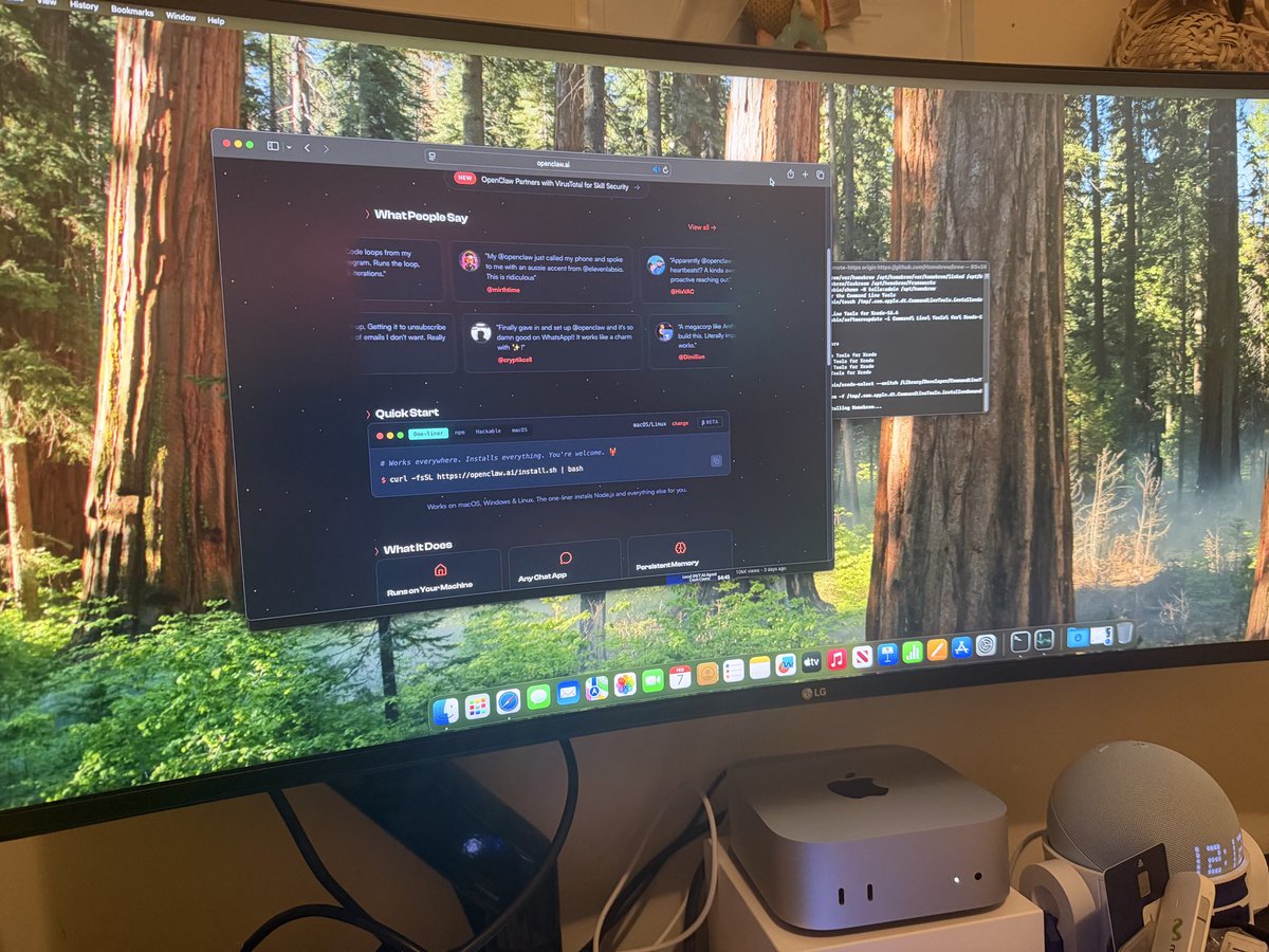 Rafael | Web Scraping & Automation tweet media