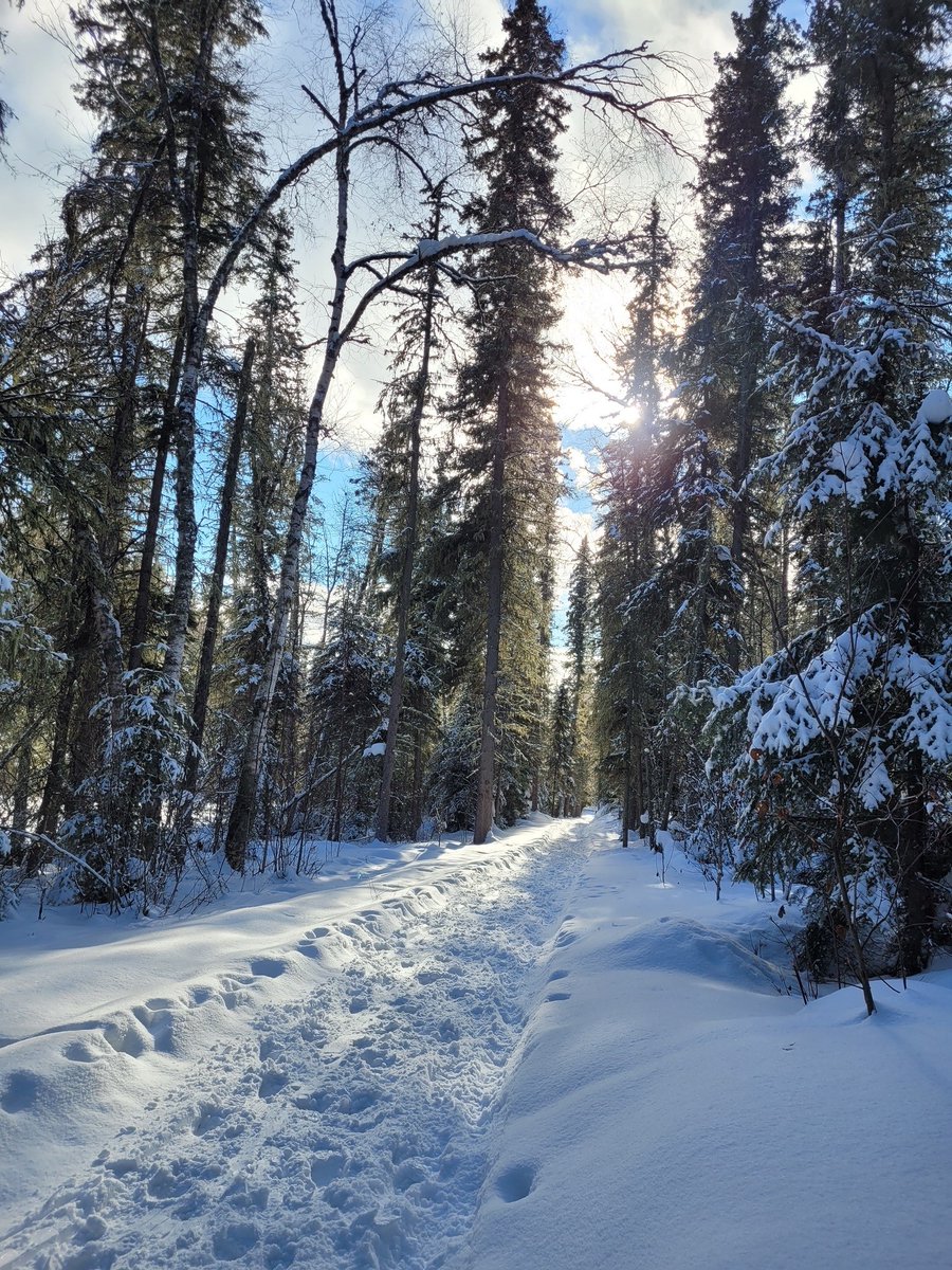 Sask Trails tweet media