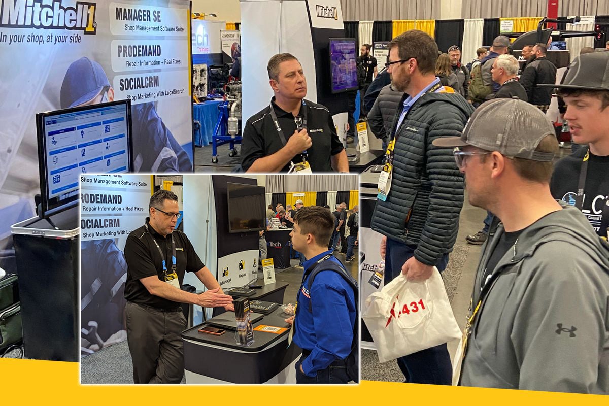 Mitchell 1 tweet media