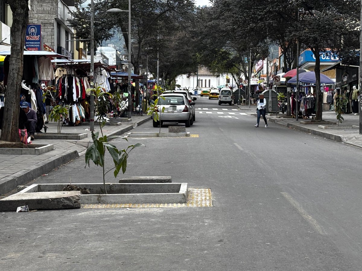 Fidel Chamba V tweet media