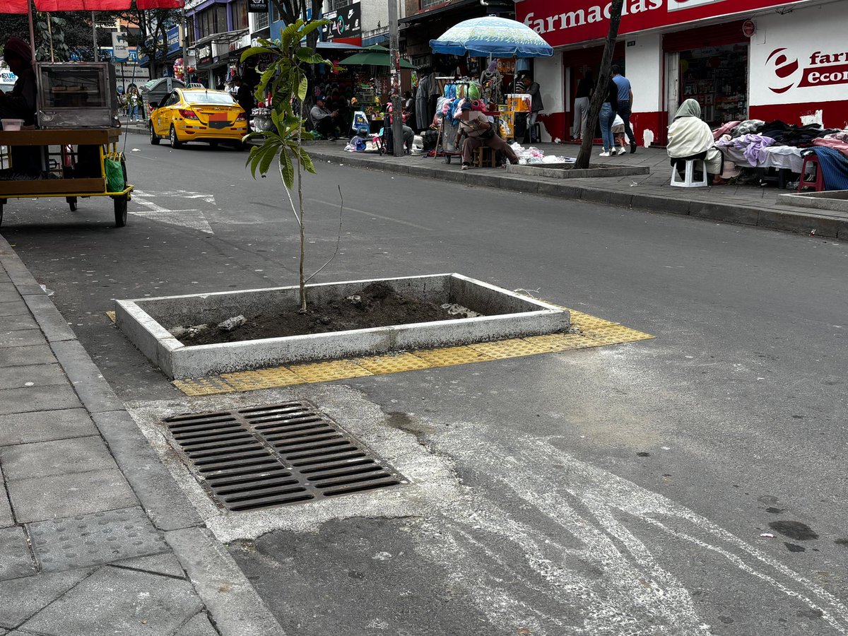 Fidel Chamba V tweet media