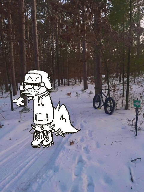 turns out if your tires are fat enough
you can just bike in the snowy woods
🚴‍♀️🪾🌨️