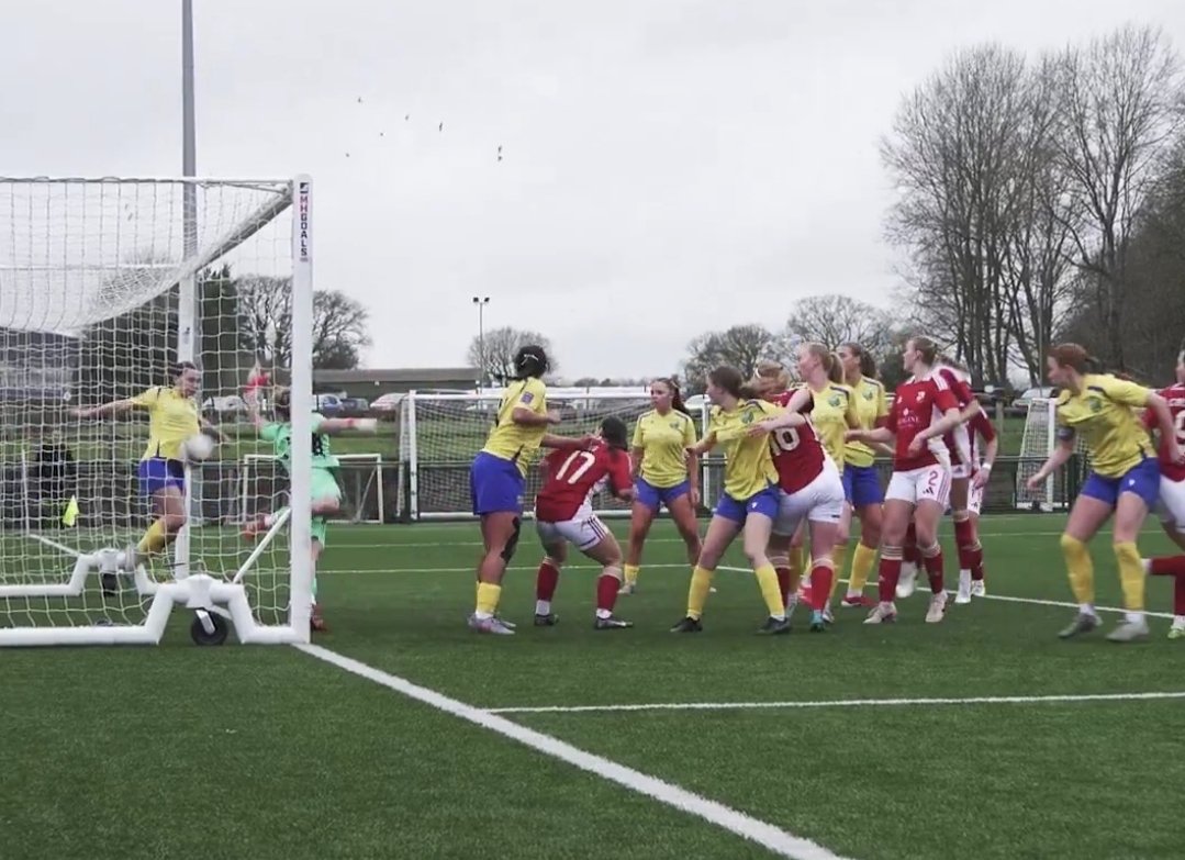 Darrel Evans tweet media