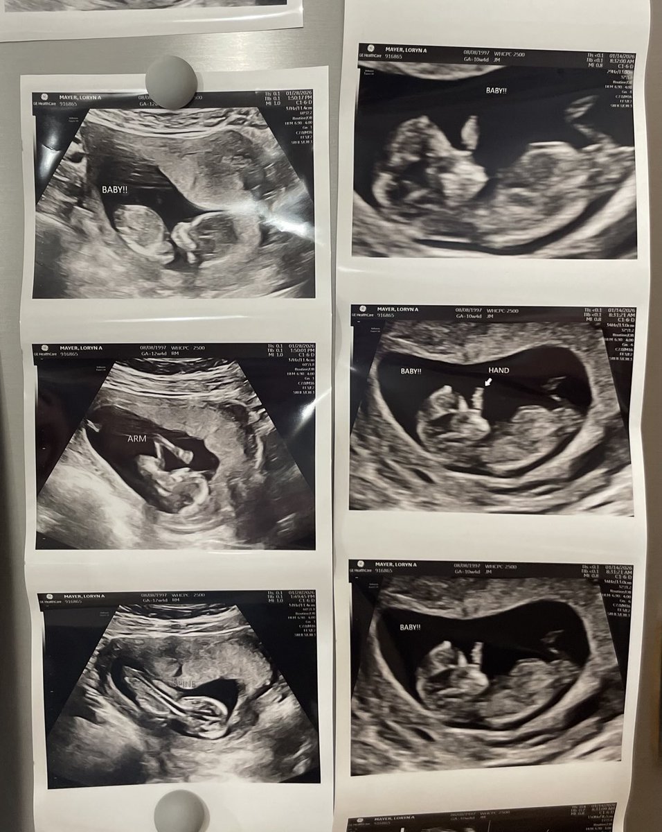 usi women's soccer tweet media