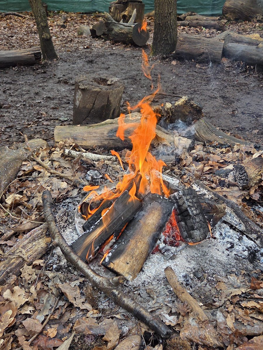 Nuthatch Consultants (and Nuthatch Retreats) tweet media