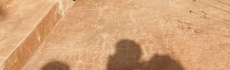 سنيوري ‏ tweet media