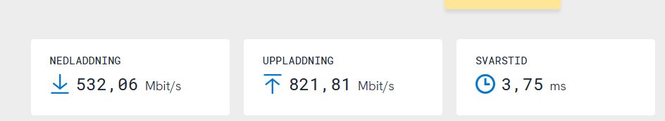 Goomi🫟🐀 tweet media