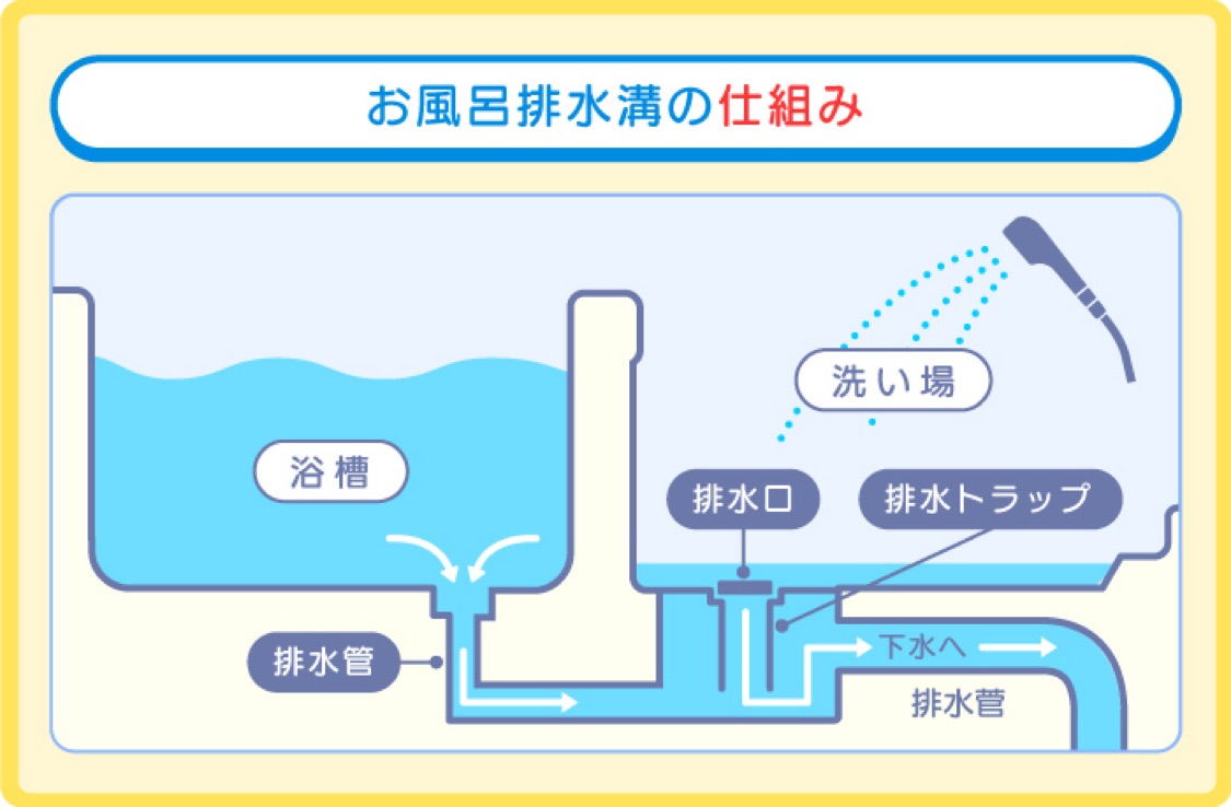 jiro_3_'s tweet photo. 排水栓を閉めておかないといけない理由は…

洗い場の泡や汚れが逆流する場合があるからです。

どういうことかと言うと

洗い場の排水口と浴室の排水栓は、
つながっています。
特に排水口は汚れやすいため、うまく排水できないと必然的に浴槽にも逆流します。
⚠️水回りの排水管は繋がっているため、トイレが溜まっているとお風呂の排水も逆流する恐れがあります。

浴槽の排水口 は掃除しにくいため、汚れの種類にあわせた掃除の仕方が必要です。

◎排水口の汚れの種類
皮脂や垢
髪の毛
石けんカス
カビやぬめり

汚れ別の掃除方法は？

①皮脂や垢
排水口がヌメヌメして原因は、皮脂や垢です。浴槽につかると身体から皮脂や垢が剥がれてお湯に溶け出し、排水口に流れます。
皮脂や垢は、弱酸性の汚れのため、重曹を使うことで綺麗に落とせます。

◎準備するもの
重曹　1カップ

◎使い方
①浴室の窓を開けて、換気扇を回す

②浴槽の排水口にパウダー状の重曹（1カップ）かける

③排水口の上からシャワーでぬるま湯を少しずつかけ、30分～1時間程度放置する

④十分なお湯を排水口に注いで洗い流す

② 髪の毛
人間の髪の毛は、1日に50～100本程度抜けます。
髪の毛の主成分はタンパク質なので、次亜塩素酸ナトリウムや水酸化ナトリウムなどで溶かすことができるため、市販のパイプクリーナーを使っていきます。

◎準備するもの
パイプクリーナー

◎使い方

①浴室の窓を開けて、換気扇を回す

②浴槽の排水口に取り付けられている目
皿や排水コマなどをすべて取り外す

③排水口にお湯を十分に流して湿らせる

④排水口の内側に沿うように、適量のクリーナーをそそいでいく

⑤そのまま30分程度放置する

⑥最後にしっかり水を流す

③石けんカス
石けんカスは、石けんに含まれる脂肪酸が皮脂や垢などの油汚れと結合したものを言います。石けんカスは一度付着すると落としにくく、次第に大きくなって排水口を詰まらせる原因になります。
石けんカスはアルカリ性の汚れなので、酸性の洗浄成分が有効になるので、クエン酸やお酢を使って落としていきます。

◎準備するもの
クエン酸　2カップ

◎使い方
①浴室の窓を開けて、換気扇を回す

②浴槽の排水口にクエン酸かける

③排水口の上からシャワーでぬるま湯を少しずつかけ、30分～1時間程度放置する

④十分なお湯を排水口に注いで洗い流す
⚠️クエン酸の代わりにお酢を代用可能

④カビやぬめり
カビや雑菌によるぬめりも、排水口を詰まらせる原因です。
カビやぬめり汚れには、塩素系の洗剤が有効です。そのため、ハイターやカビキラーなどの洗剤を使うと簡単に落とすことができます。

◎準備するもの
ハイター

◎使い方
①浴室の窓を開けて、換気扇を回す

②浴槽の排水口にハイターをかける

③ 5〜10分程度（製品によっては30分以上）放置します。
⚠️放置しすぎると素材を傷める可能性があるため注意が必要です。

④十分なお湯を排水口に注いで洗い流す

◎詰まりがひどい時
①ラバーカップで詰まりを取り除く

◎使い方
浴槽の排水口に取り付けられている目皿や排水コマなどをすべて取り外す

②排水口にラバーカップを押し当てた際に、カップより少し上の位置まで水を張る

③隙間ができないようにラバーカップを排水口に密着させる

④ラバーカップの柄を押して圧力をかけ、一気に引き上げる

⑤詰まりが取れるまで何度か繰り返す

⚠️ より強力な吸引力を発揮する真空式パイプクリーナーもオススメです。

ぜひ、試してみてください

『 お金の知識で生活を豊かに 』をテーマに発信してます！
ボクをフォローすると

✅お金の知識がつく
✅お金のお得情報をゲットできる
✅お金で悩まなくなる
✅生活が豊かになる

ボクをフォローして、一緒にお金の知識をつけていきましょう
👉@jiro_3_
