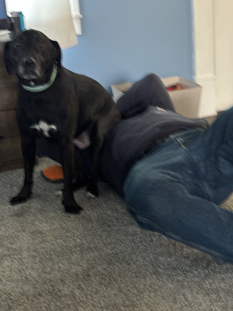 ManderrPander tweet media