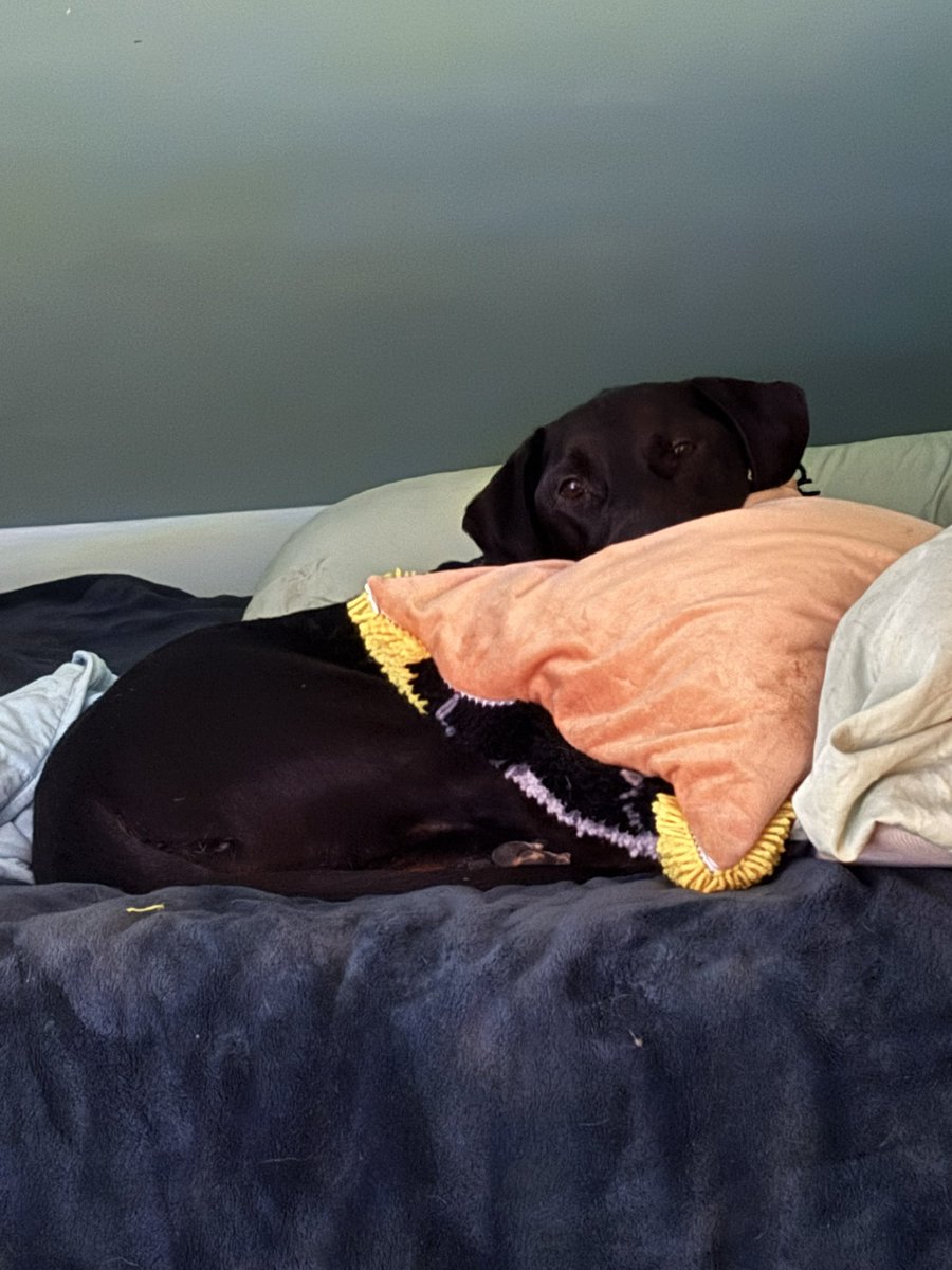 ManderrPander tweet media