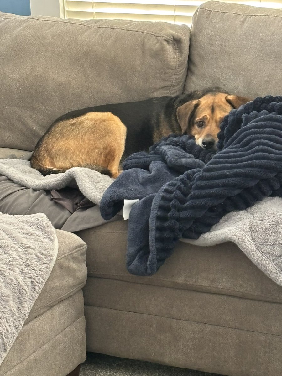 ManderrPander tweet media