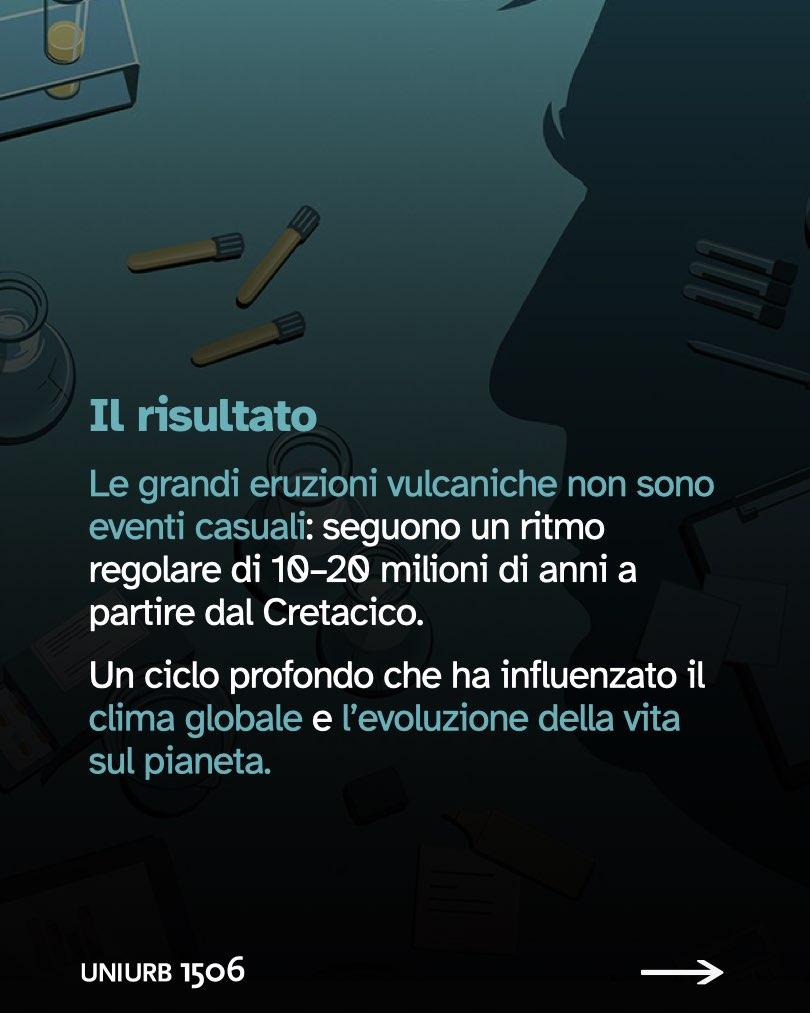 Università di Urbino tweet media