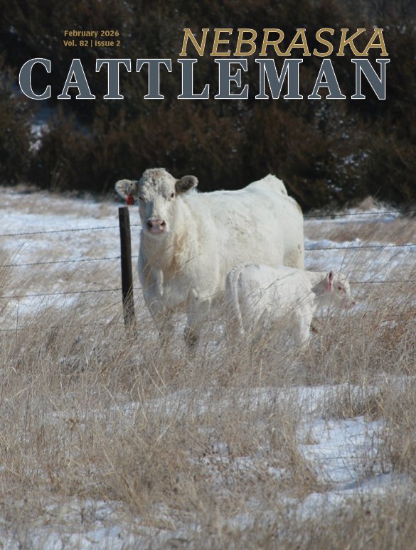 Nebraska Cattlemen® tweet media