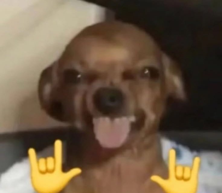 "Voy a subir un dibujo"
-Abro twitter 
-Me aparecen un par de chichotas en el inicio 
-Le doy like
-Cierro twitter