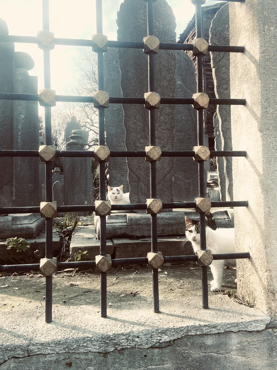 Hayat olmayana ağıt yakacak kadar uzun değil..