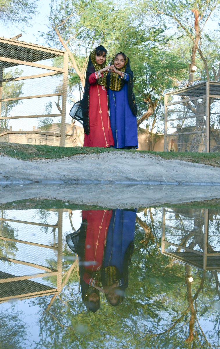 عالم الخرج للتمور والقهوة السعودية |KFSDC tweet media