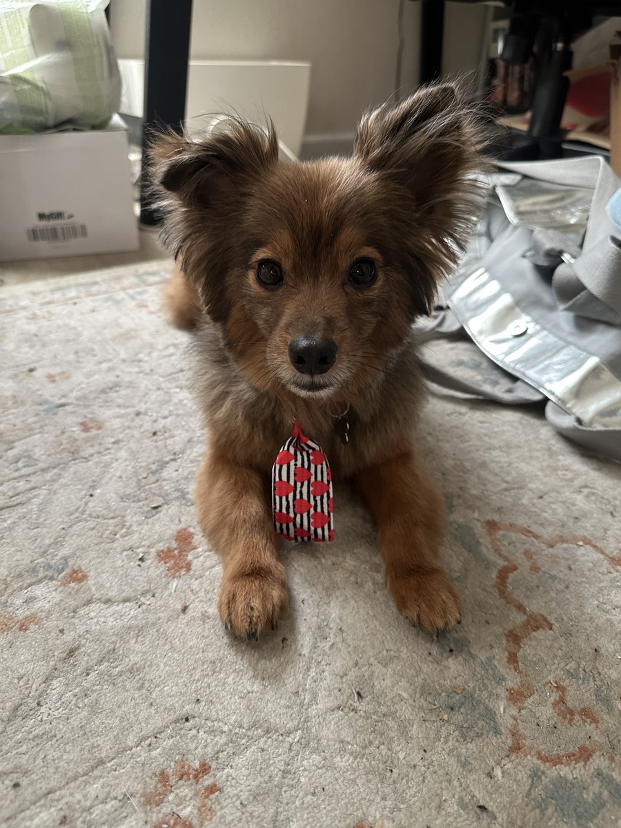 Beloved author, ericfilipkowski.bsky.social tweet media