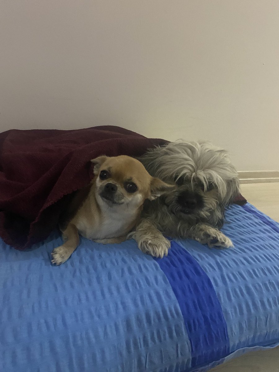 Uyku saati 🤗
#aşkıntarifi 
#aşklarım