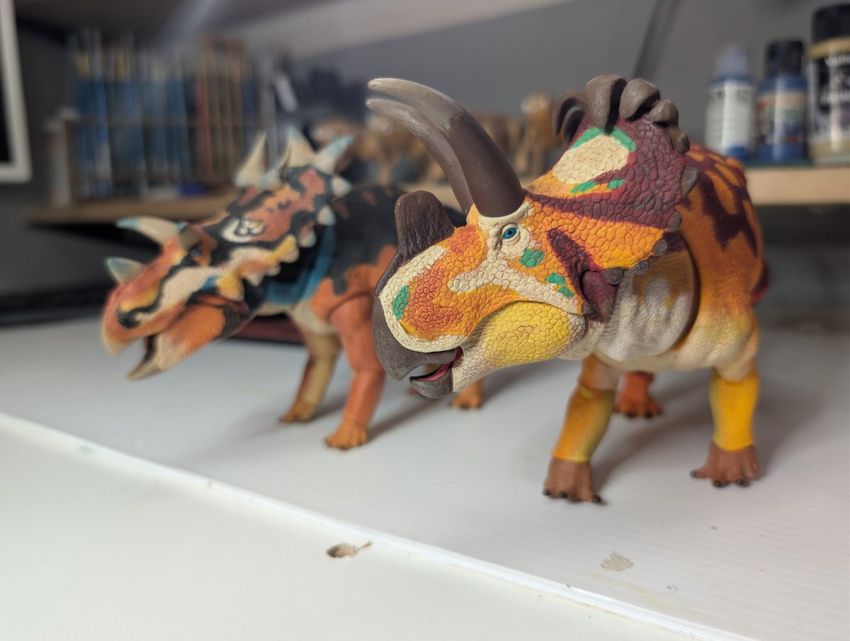 DinosaurDungeon's tweet photo. @Beast_SculptKit did a great job sculpting these recent Canadian ceratopsians. ceratopsians that were found by two of the best Canadian paleontologists @DavidEvans_ROM @Jordan_Mallon 
Spiclypeus shipporum
Wendiceratops pinhornensis
#dinosaur #ceratopian #paleontology #paleoart https://t.co/GmRCAWlwh5