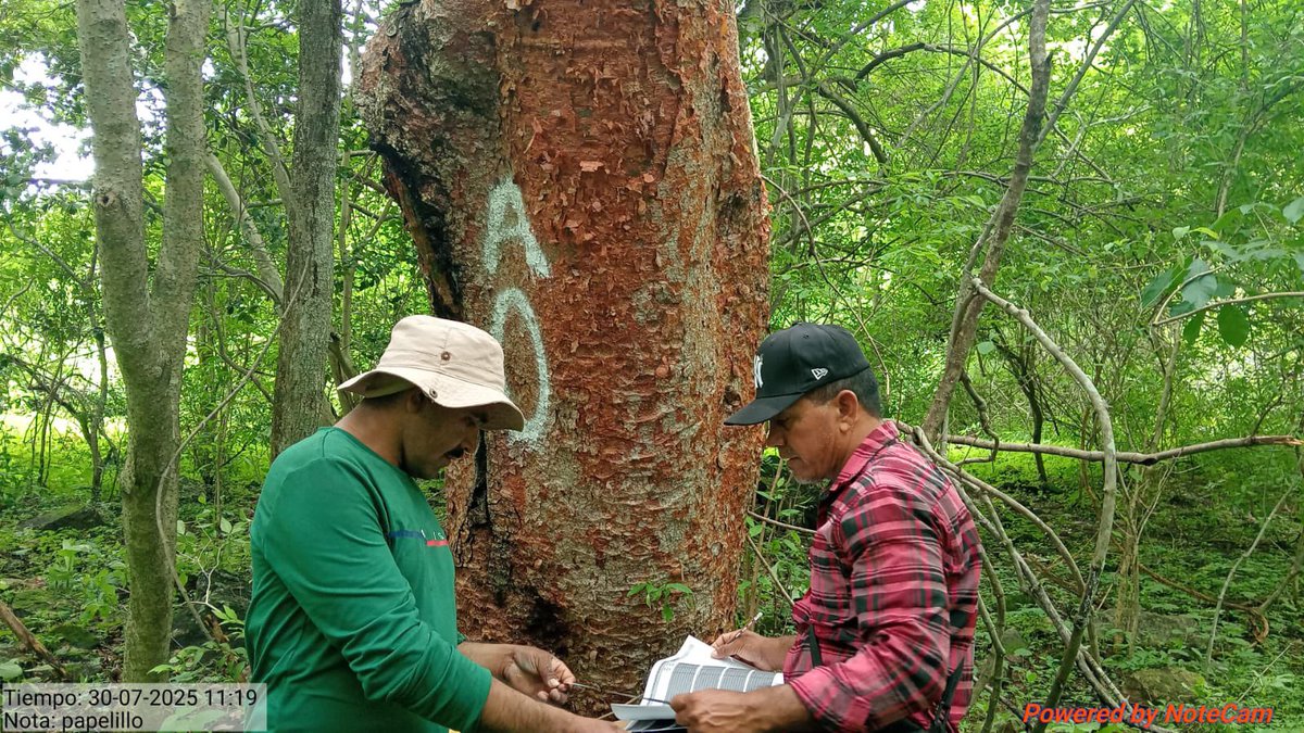 Moriarty tweet media