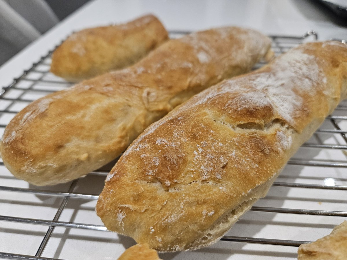 lonelybugz's tweet image. #breadposting #mybread #yup #imabakernow